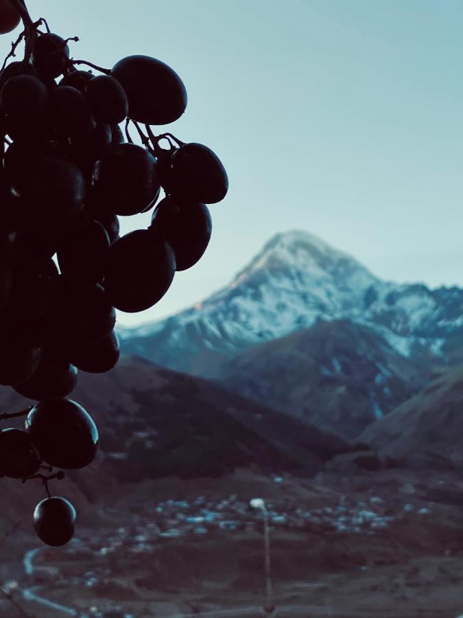 Guesthouse Relax In Kazbegi Zewnętrze zdjęcie
