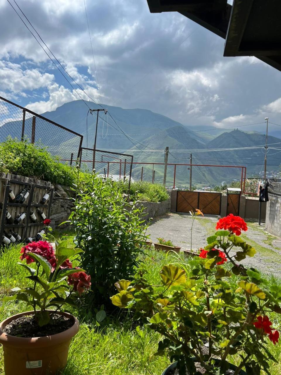 Guesthouse Relax In Kazbegi Zewnętrze zdjęcie